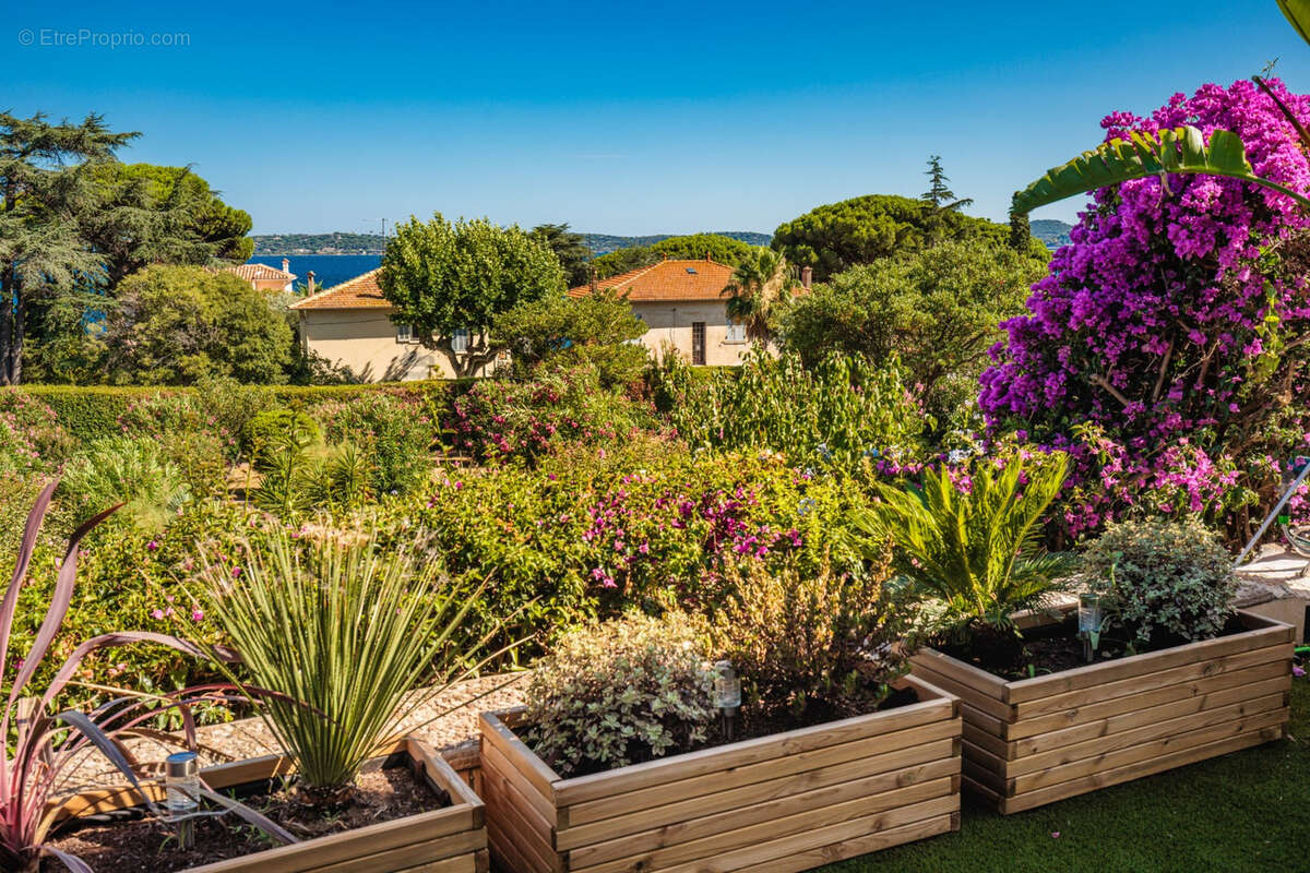 Appartement à SAINTE-MAXIME