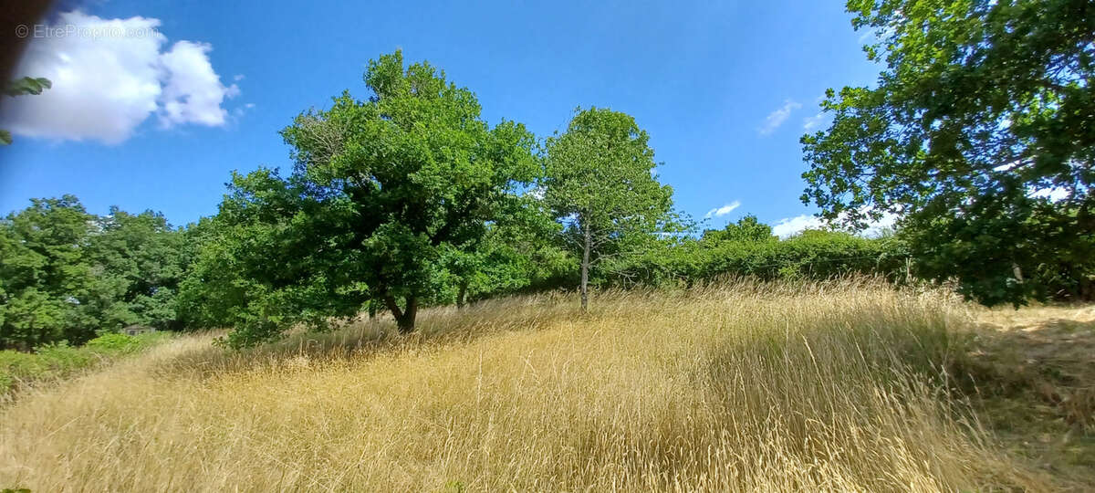 Maison à BUXIERES-LES-MINES