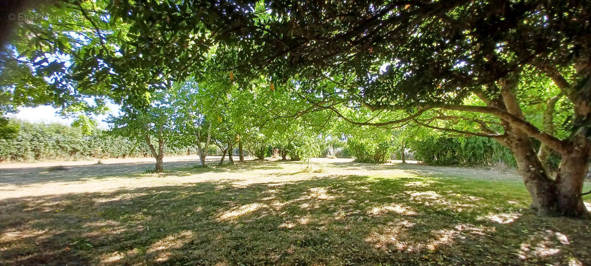 Maison à SAINT-PLAISIR