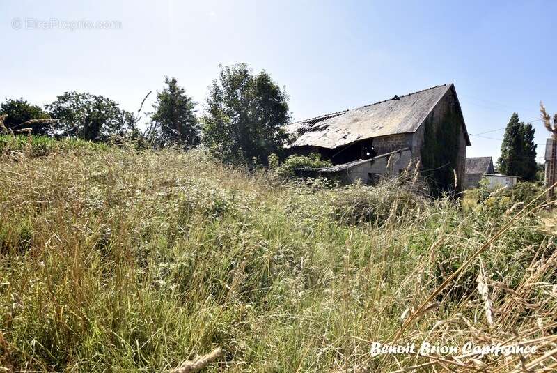 Maison à LOUVIGNE-DU-DESERT