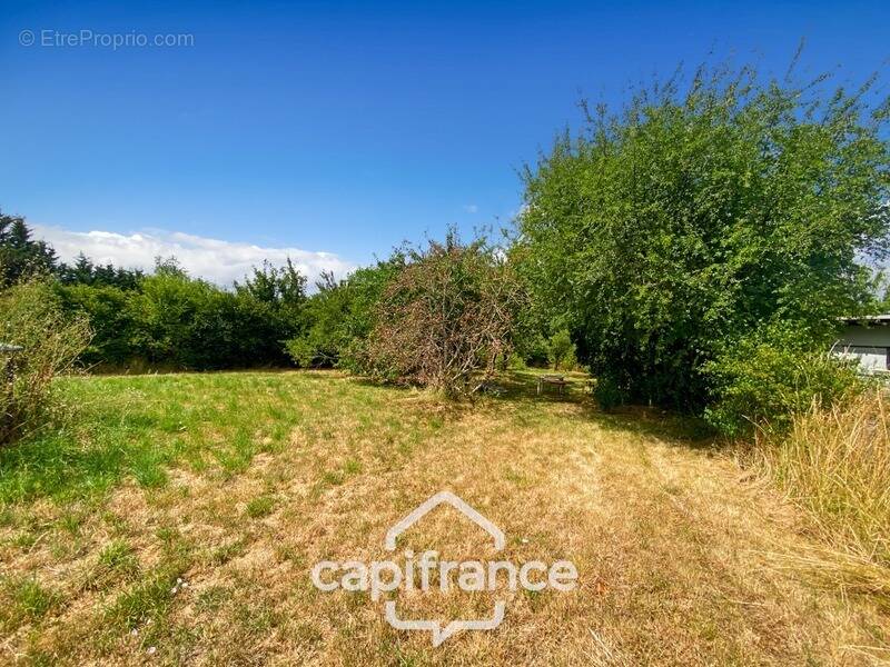 Maison à SAINT-YTHAIRE