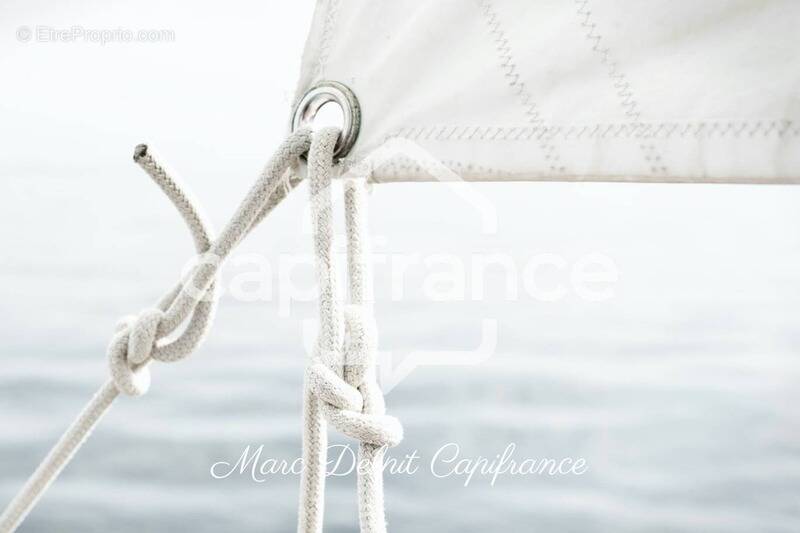 Commerce à CANET-EN-ROUSSILLON