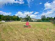 Terrain à SAINT-ANDRE-DE-CUBZAC