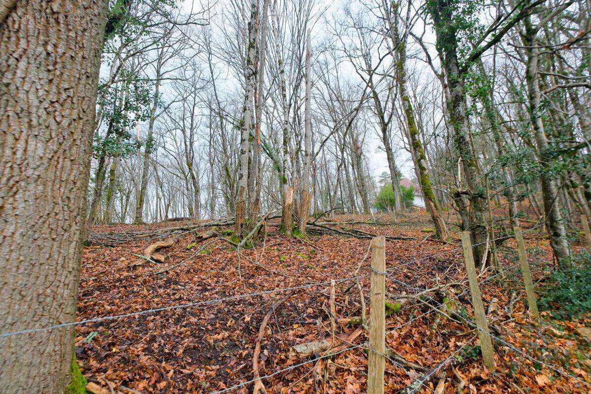 Terrain à COULOUNIEIX-CHAMIERS