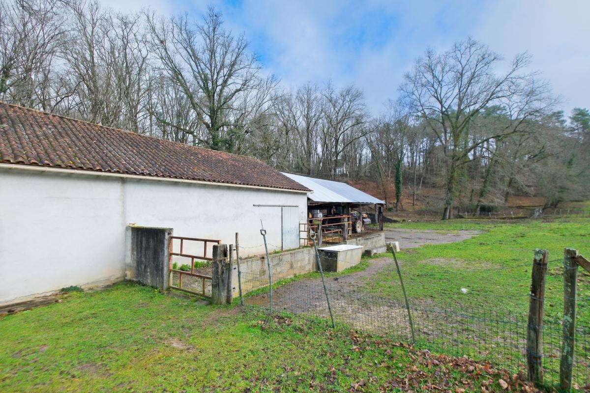 Terrain à COULOUNIEIX-CHAMIERS