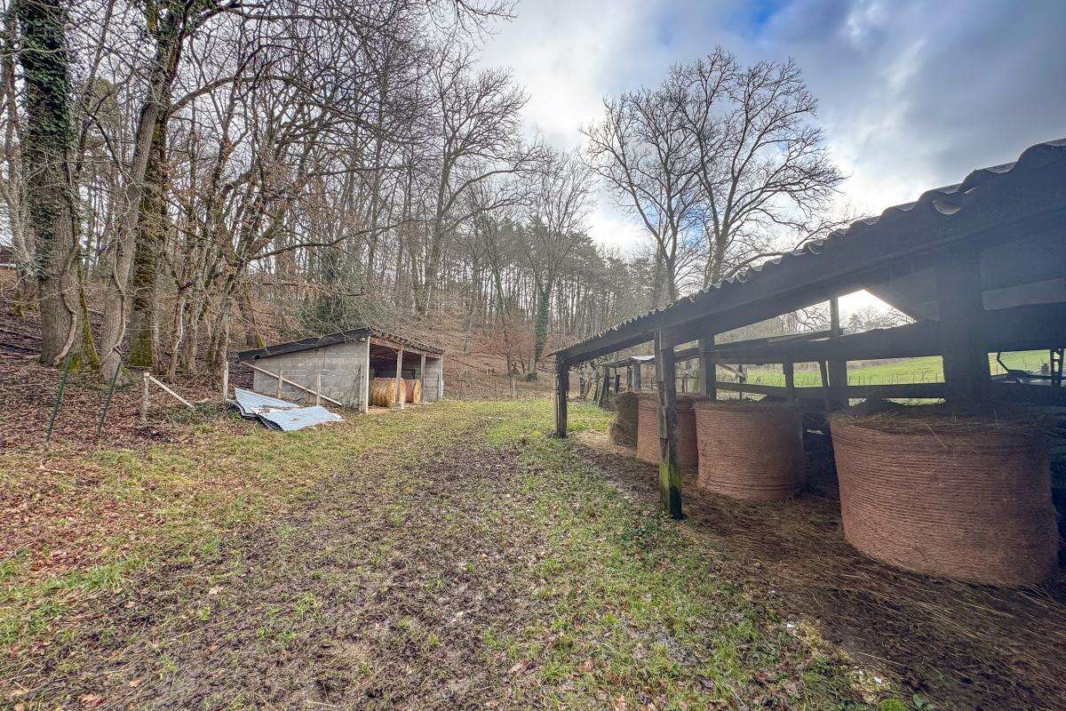 Terrain à COULOUNIEIX-CHAMIERS