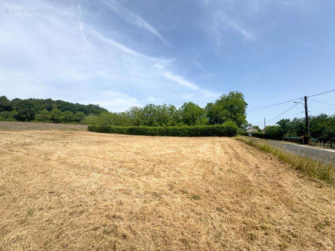 Terrain à SAINT-GERMAIN-DU-SALEMBRE