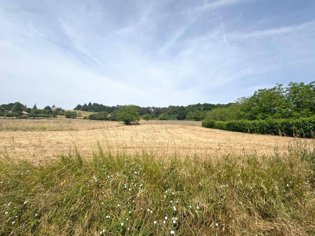 Terrain à SAINT-GERMAIN-DU-SALEMBRE