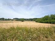 Terrain à SAINT-GERMAIN-DU-SALEMBRE