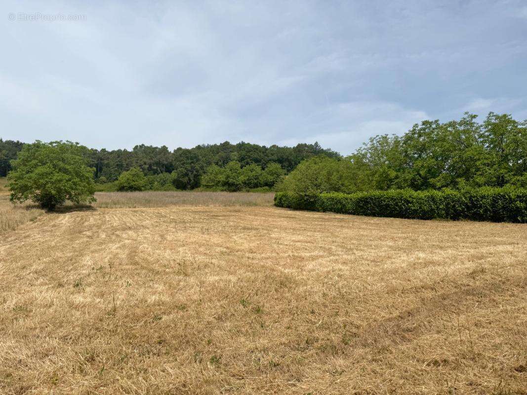 Terrain à SAINT-GERMAIN-DU-SALEMBRE