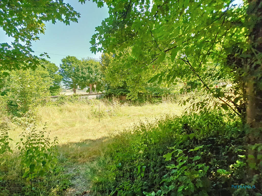 Terrain à CHATONNAY