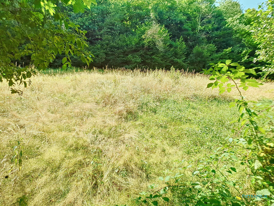 Terrain à CHATONNAY