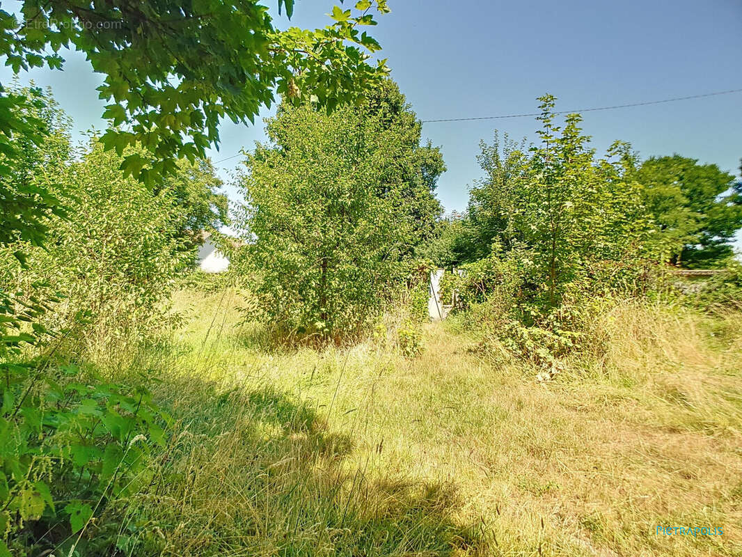 Terrain à CHATONNAY