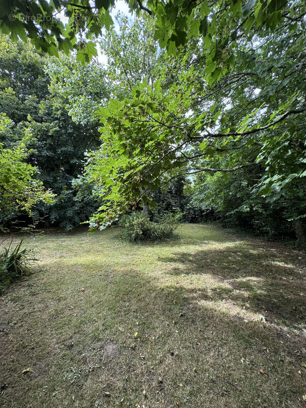 Maison à CAMARET-SUR-MER