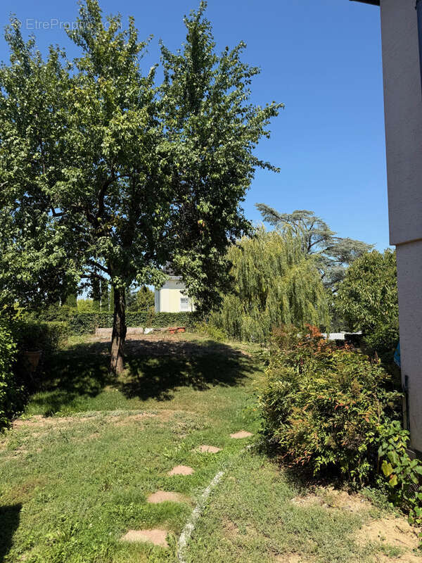 Maison à RIEDISHEIM