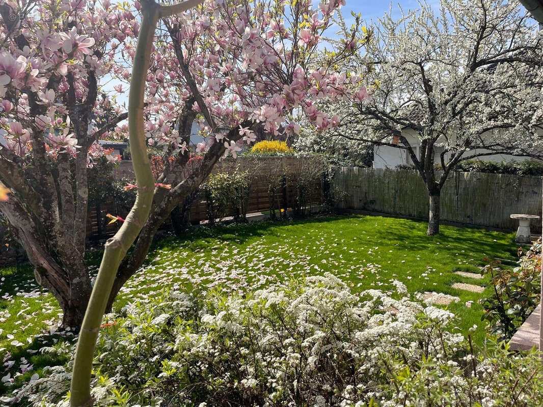 Maison à RIEDISHEIM