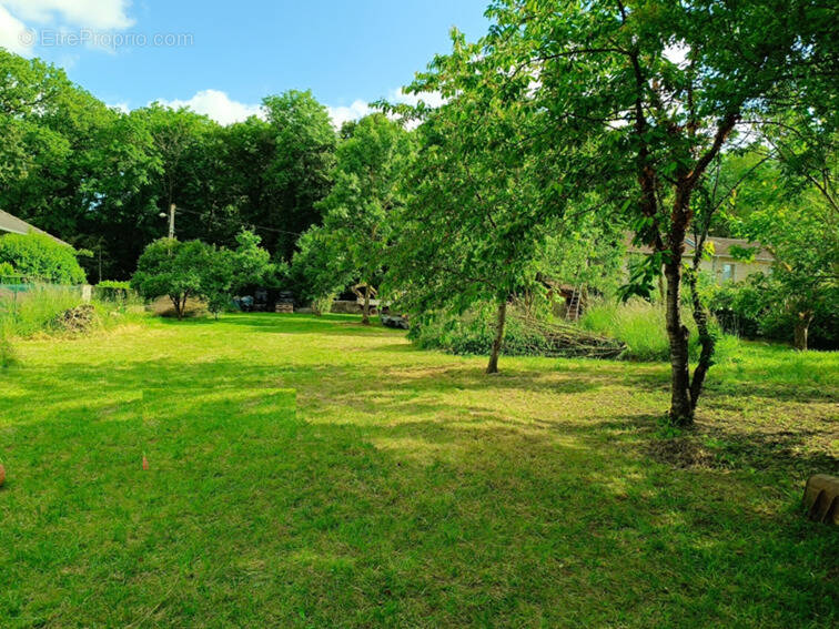 Terrain à LORRY-MARDIGNY