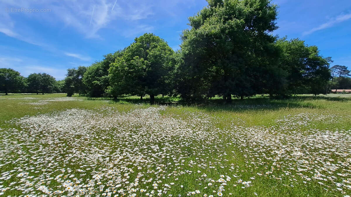Maison à OUSSE-SUZAN