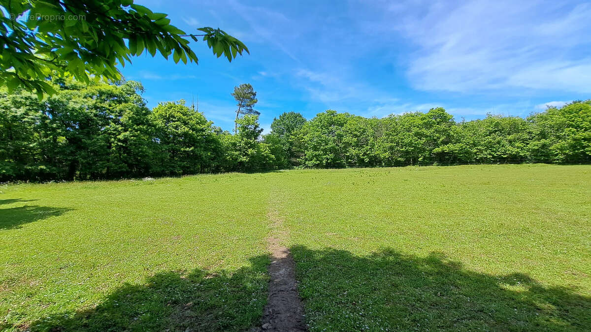 Maison à OUSSE-SUZAN