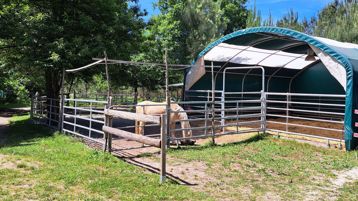 Maison à OUSSE-SUZAN