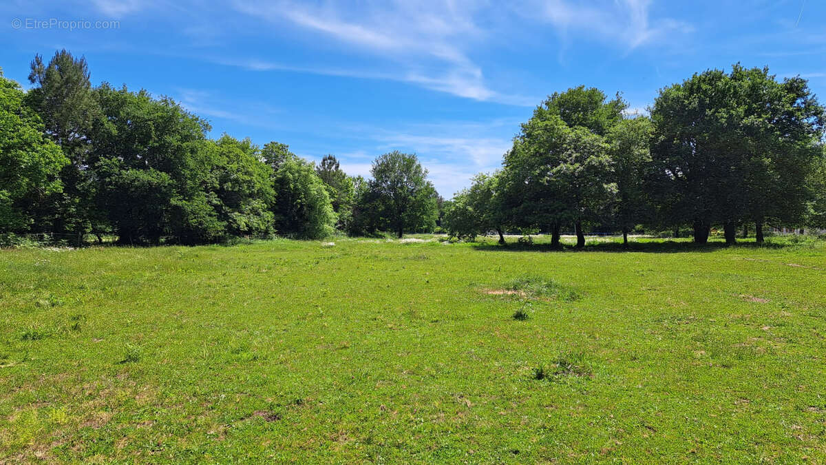 Maison à OUSSE-SUZAN