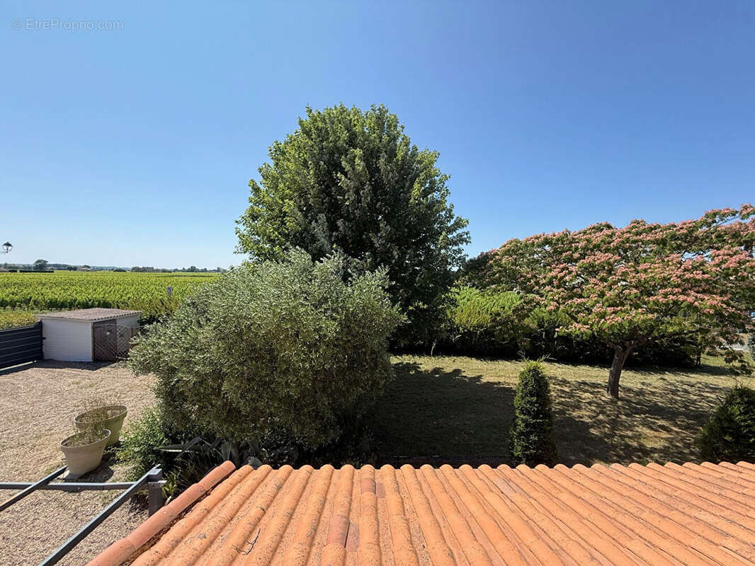 Maison à SAINT-EMILION