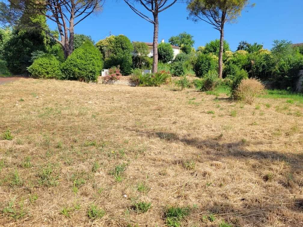 Terrain à GRASSE