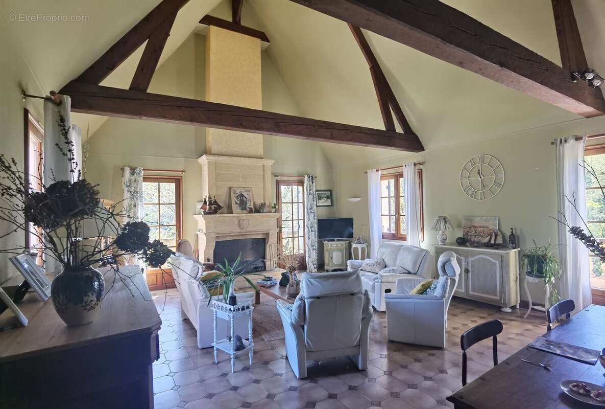 Séjour - Maison à EXCIDEUIL