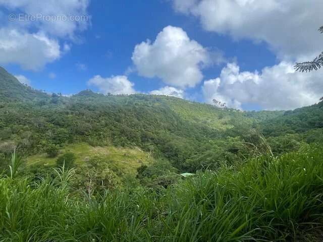 Terrain à SAINTE-LUCE