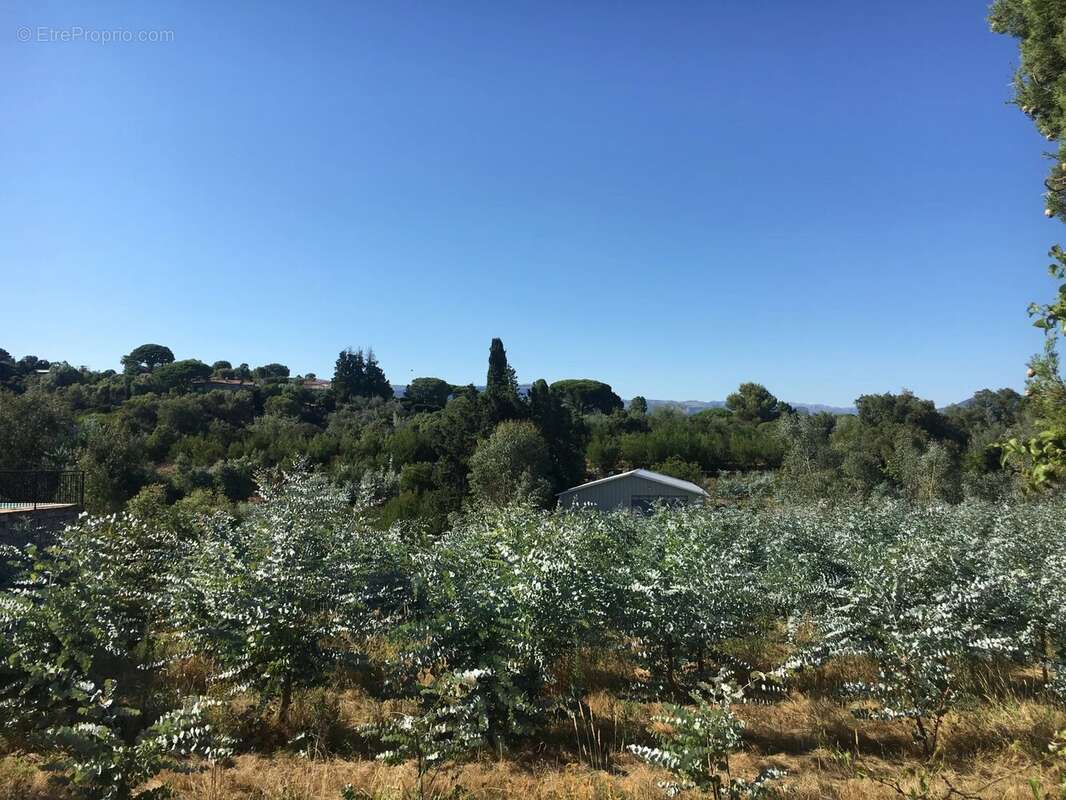 Appartement à LA ROQUETTE-SUR-SIAGNE