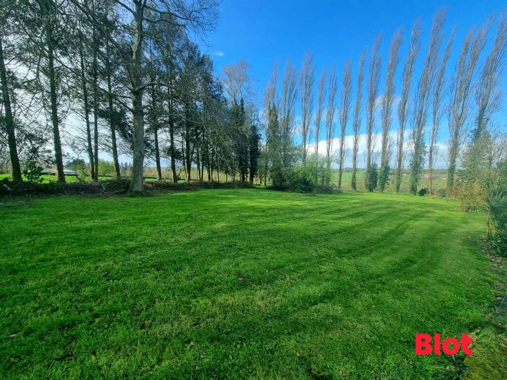Terrain à MELESSE