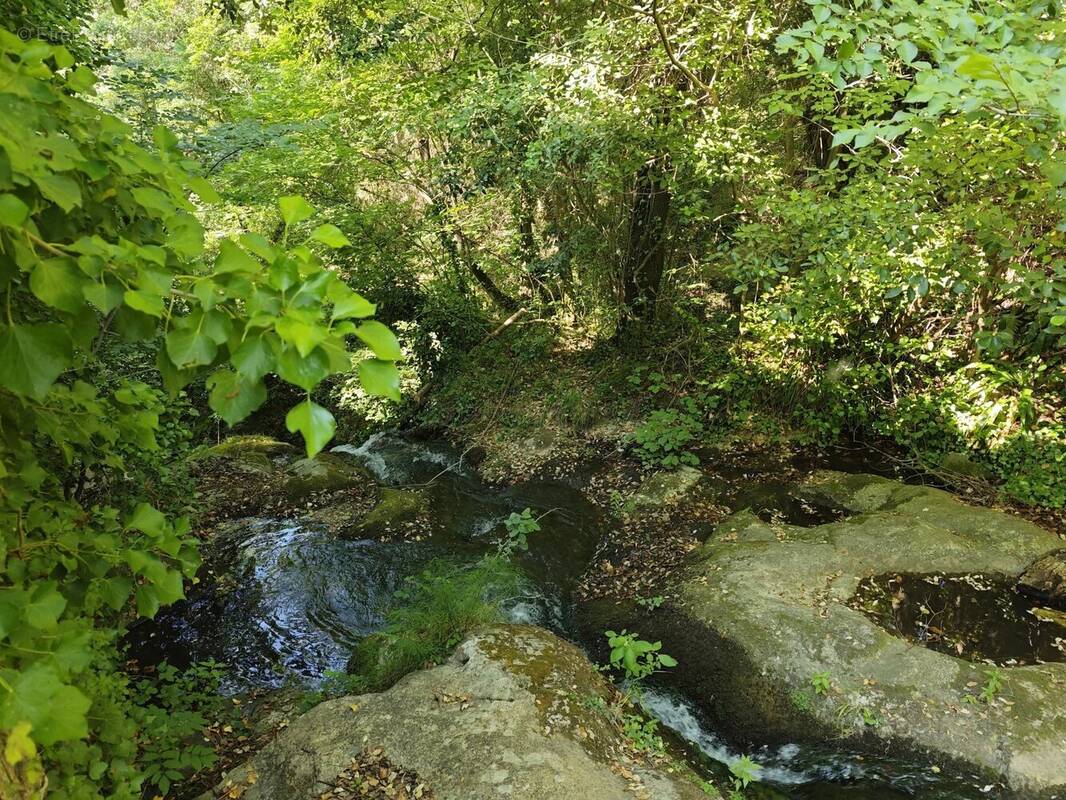 Maison à CAUDIES-DE-FENOUILLEDES