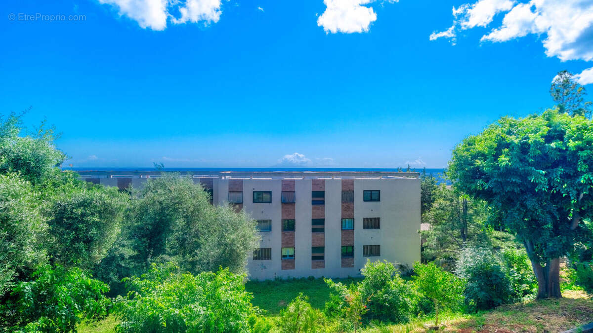 Appartement à SAN-MARTINO-DI-LOTA