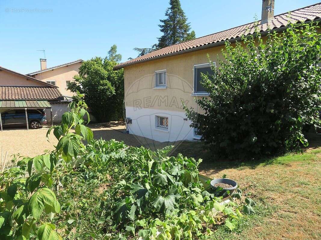 Maison à SAINT-GEORGES-DE-RENEINS