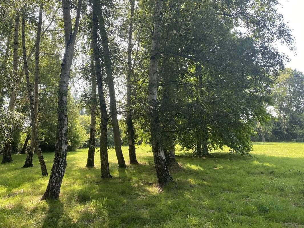 Maison à PLOUER-SUR-RANCE