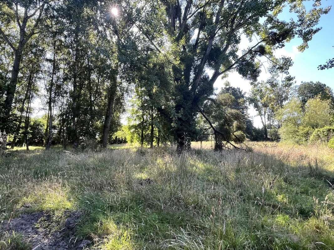 Maison à PLOUER-SUR-RANCE