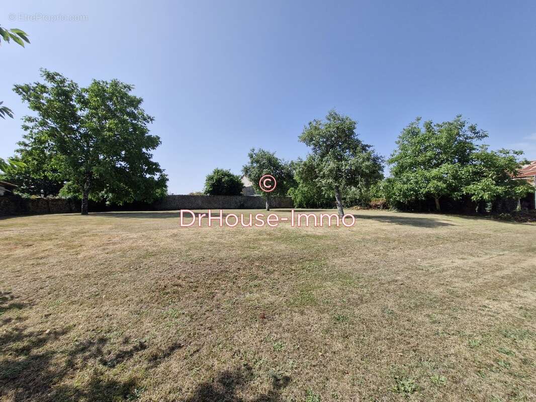 Terrain à SAINTE-NEOMAYE