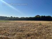 Terrain à PAYRIGNAC