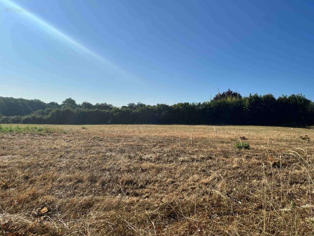 Terrain à PAYRIGNAC