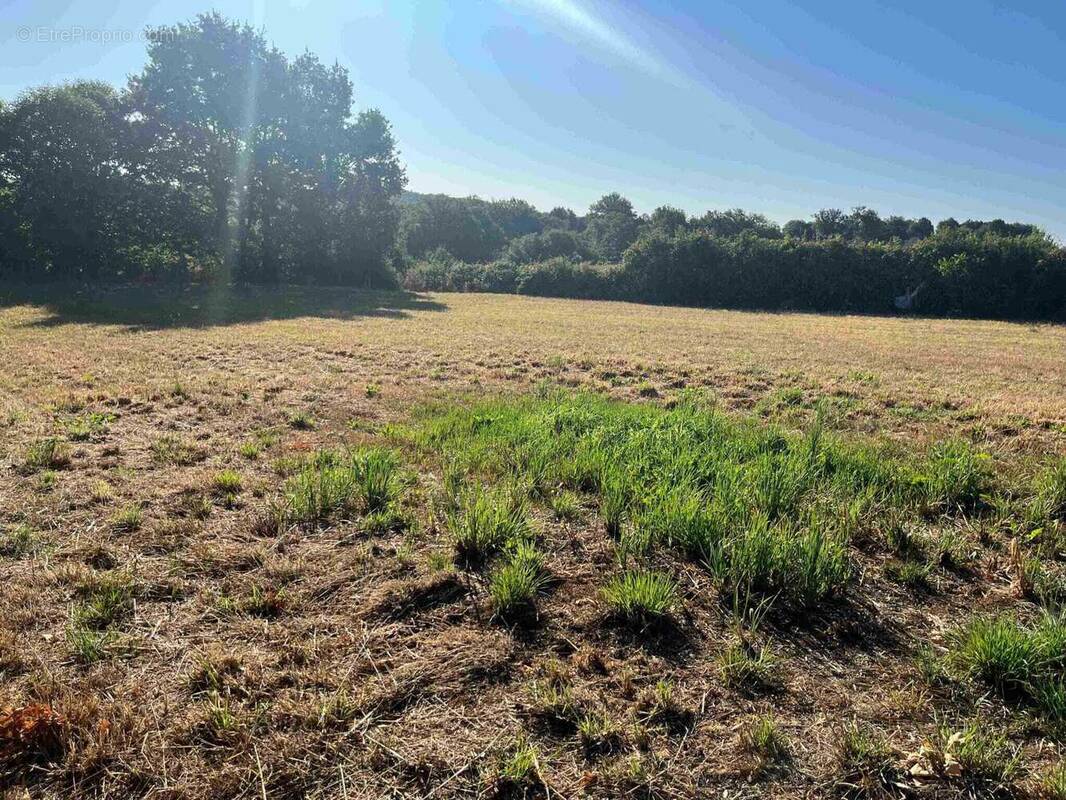 Terrain à PAYRIGNAC