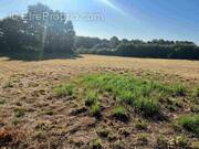 Terrain à PAYRIGNAC