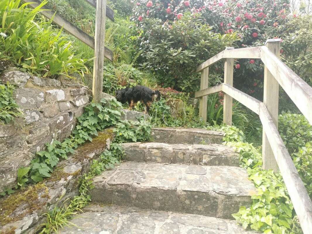 Maison à PLESTIN-LES-GREVES