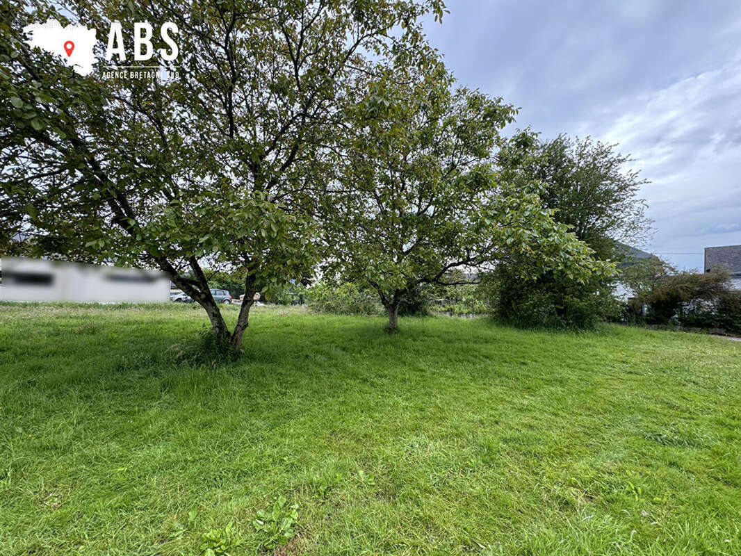 Terrain à PENESTIN