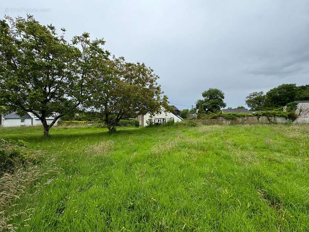 Terrain à PENESTIN