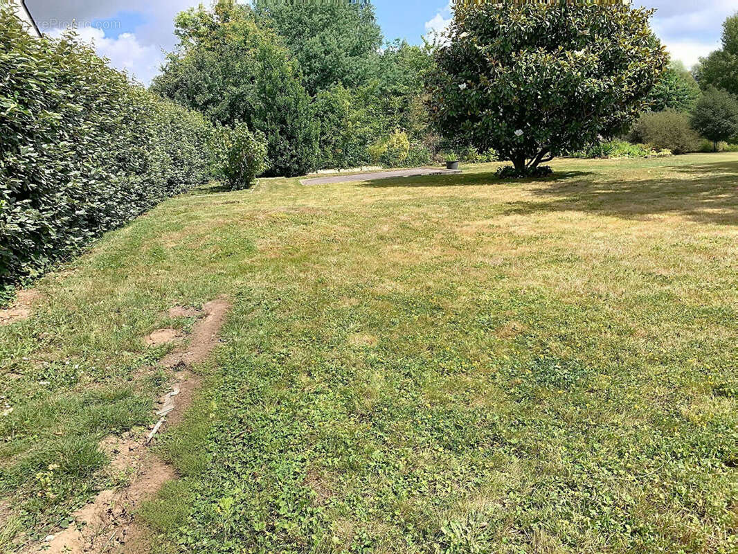 Terrain à TINTENIAC