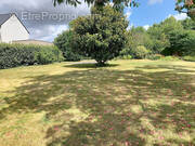 Terrain à TINTENIAC