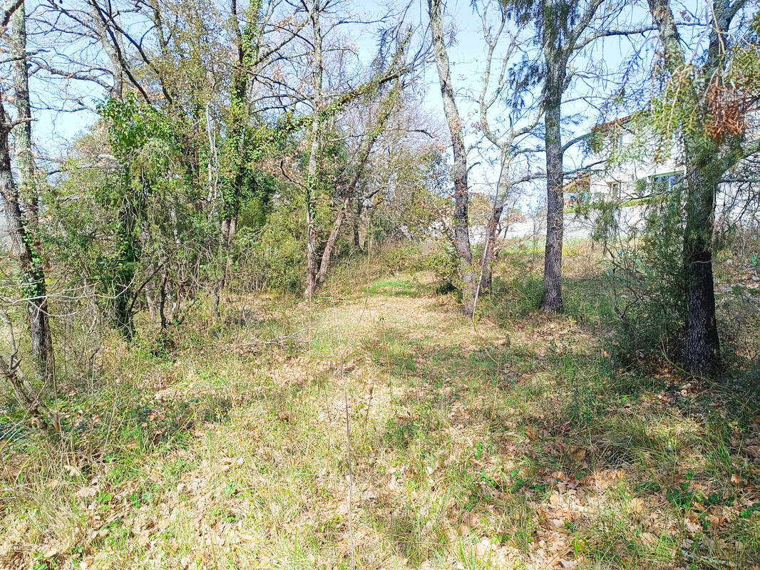 Terrain à FOX-AMPHOUX