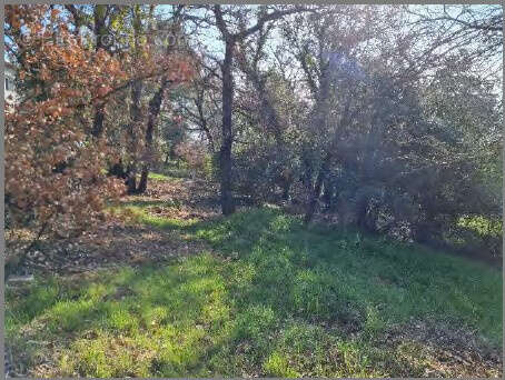 Terrain à FOX-AMPHOUX