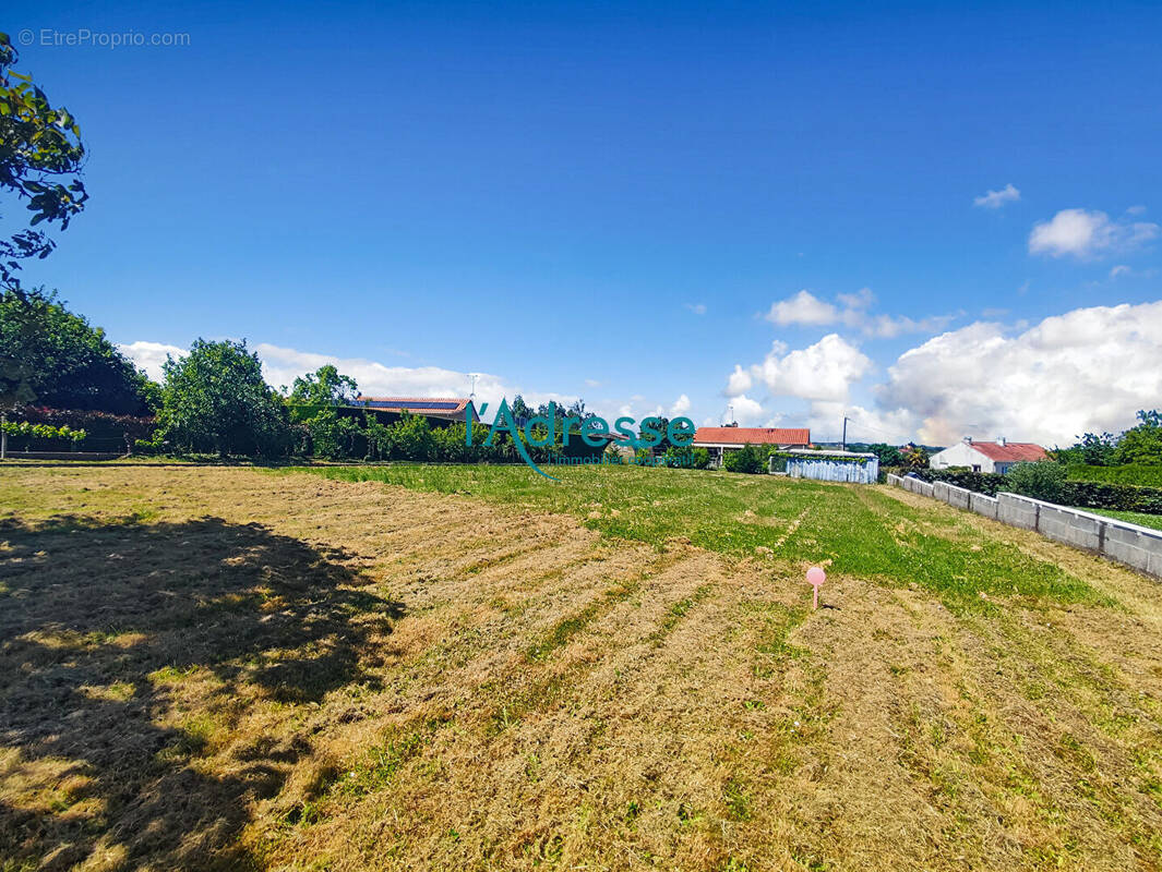 Terrain à MONTREVAULT