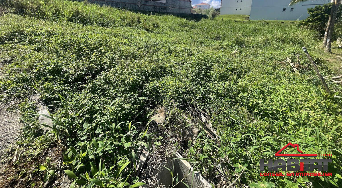 Terrain à LE LORRAIN